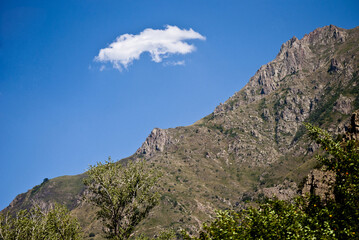 Naklejka premium It is a hillside with rocks on it and apple trees and a beautiful cloud floating in the blue sky.