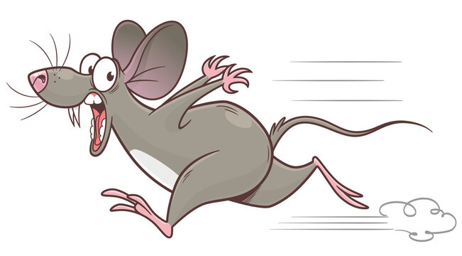 Scared running pest mouse cartoon vector illustration. Cartoon pest mouse series.