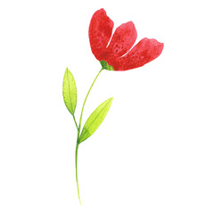 Bright red watercolor flower clip art isolated on white background. hand drawn botanical illustration. Cute poppy drawing. Floral design element.