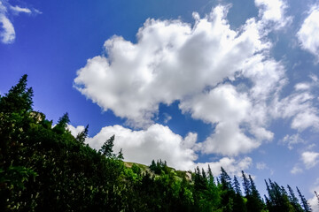 Obraz premium large white clouds on the blue sky and green landscape