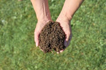 Fresh compost in two hands with a green meadow
