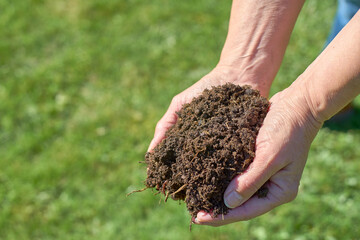 Fresh compost in two hands with a green meadow