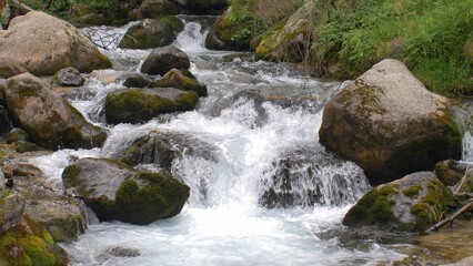 Naklejka na ściany i meble Mountain Forest Creek with Rocks and Stones
