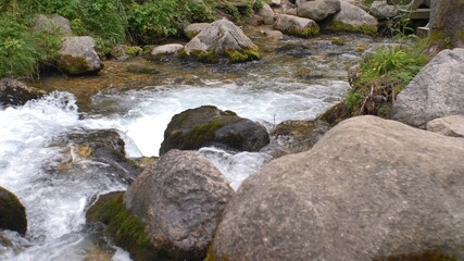 Naklejka na ściany i meble Mountain Forest Creek with Rocks and Stones