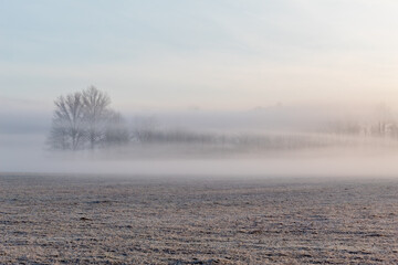 Obraz premium Winter's morning landscape 