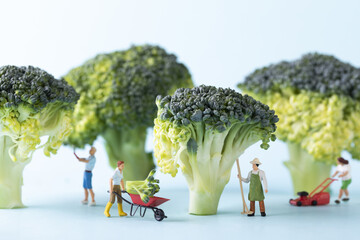 A selective focus closeup of a toy people and broccoli on blue background-concept farmers  working