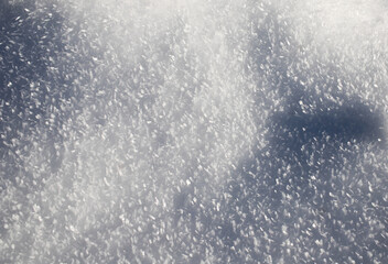 fresh snow winter background banner
