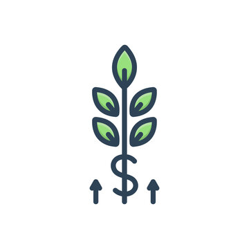 Color Illustration Icon For Grow 