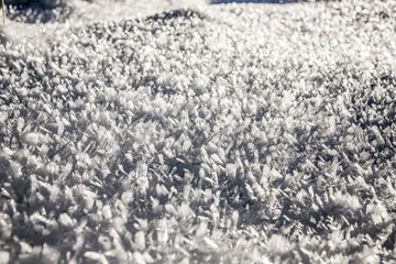 Fototapeta premium fresh snow winter background banner