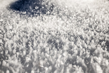 fresh snow winter background banner