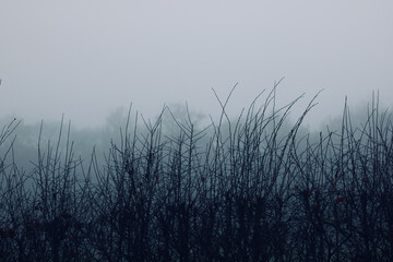 Grey winter morning scene in England with space for copy