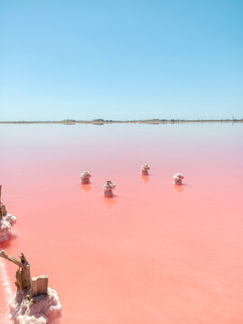 Pink salt lake with wooden column covered by salt pieces