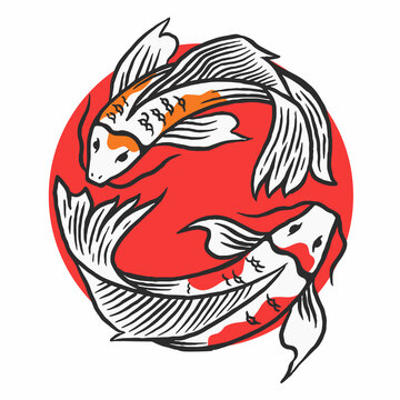Japanese koi fish vector illustration. Drawing koi fish vector.