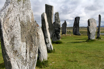 wall
