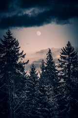 Obraz na płótnie Canvas lune dark vertical