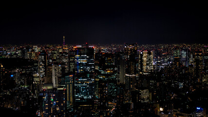 Fototapeta na wymiar Tokyo at night