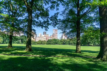 Fototapeta na wymiar Central Park with peaceful scenery
