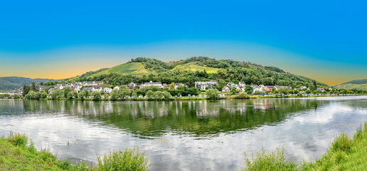 Fototapeta premium panoramic view to village of Zell at the Mosel valley in Germany