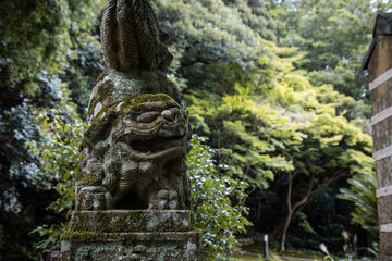 Fototapeta na wymiar Old Komainu (lion-shaped guardian dog) statue with moss in Izumo Taisha Shrine, Izumo, Shimane, Japan.