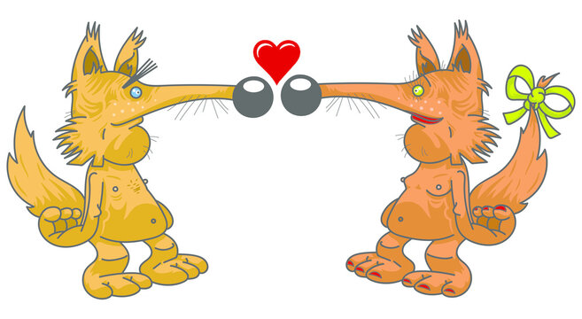 Saint-Valentin : Renards amoureux