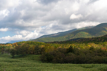 北海道　知床国立公園　知床五湖