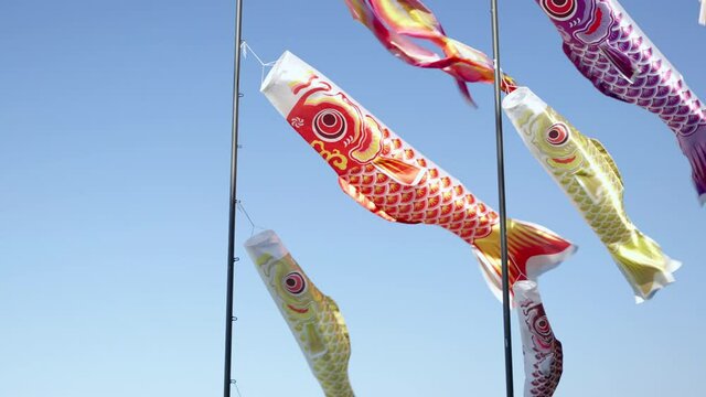 Carp Flag, Koi no bori symbol of Japanese Boys 'Day, designated May 5th of each year as Boys' Day.
