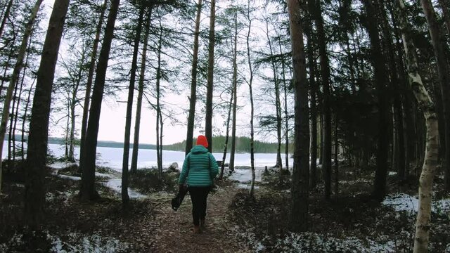 A female visitor is walking through the forest in chilly weather for recreation out of corona lockdown in a landscape of frozen lake in northern Sweden