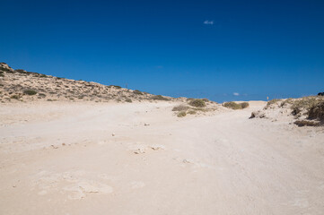 National Forest Park  in Cyprus