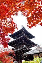 Three Storeys Pagoda of Shinnyodo Temple with Red Maple Leaves in Autumn, Kyoto, Japan