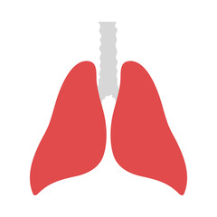 Human Lungs Icon