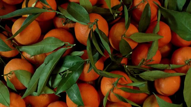 Top view of mandarine orange with leaves in wooden box