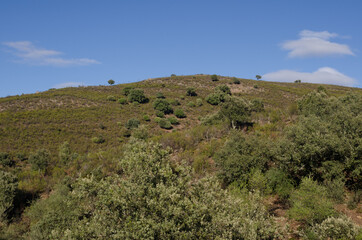Landscape in the Monfrague National Park. Caceres. Extremadura. Spain.
