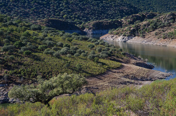 Fototapeta na wymiar Torrejon Tietar reservoir and mediterranean forest. Monfrague National Park. Caceres. Extremadura. Spain.