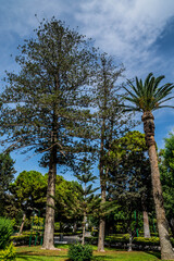 Botanic garden at Cyprus