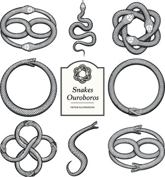 Snake and Ouroboros Illustrations in vintage style
