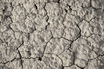 Grey soil split in desert.