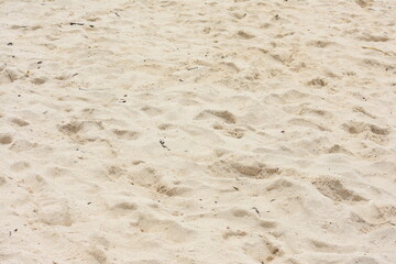 A White Sand On Sandy Beach