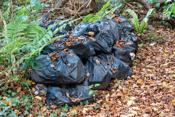 Black plastic rubbish bags of waste litter containing plastic bottles and cups along with paper packaging with bags and tin cans left as careless garbage dumped polluting the rural environment,  photo