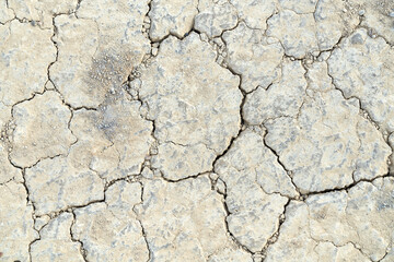Dry and cracked ground.