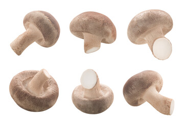 Fresh Shiitake mushrooms (Lentinula edodes)  isolated