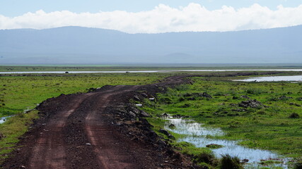 Fototapeta premium Ngorongoro Crater 