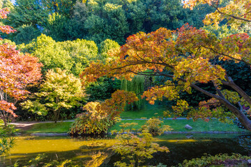Obraz premium autumn in the park