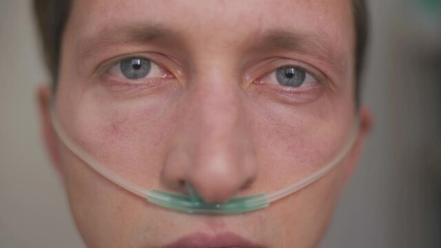 oxygen therapy, coronavirus pandemic. breathing with oxygen tubing. person in need of respiratory help, using nasal cannula to deliver supplemental oxygen. nasal oxygen for severe COVID-19 pneumonia