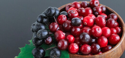 Cranberries and chokeberry in wooden bowl on black background. Nature, autumn, crop, food, berry banner.	
