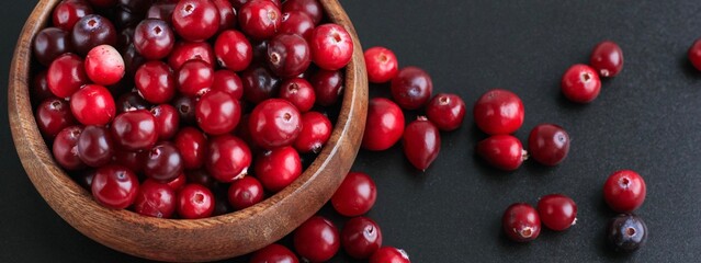 Cranberries in wooden bowl on black background. Nature, autumn, crop, food, berry banner.	