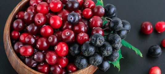 Cranberries and chokeberry in wooden bowl on black background. Nature, autumn, crop, food, berry banner.	