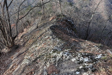 Early winter thin ridge (rocky / knife ridge) walking (mountain trail)(late autumn / early winter) 初冬の痩せ尾根(岩場・ナイフリッジ)歩き (登山道)(晩秋/初冬)(要注意)