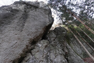 A huge rock found on a mountain trail / 登山道で見つけた巨岩