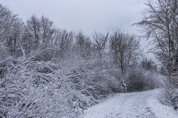 Winterlandschaft im Hohen Venn bei Monschau Mützenich in der Eifel