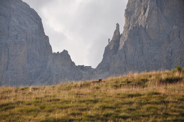 Widok na eksponowaną grań z górskiej łąki, Dolomity